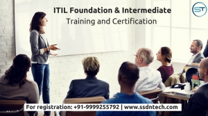 ITIL Training - SSDN Technologies 